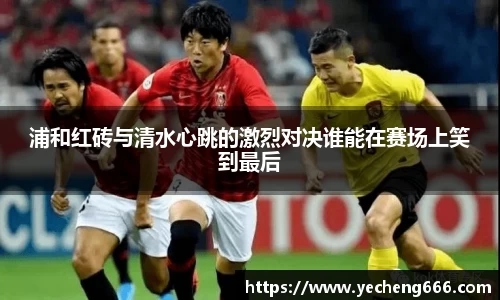 奇异果qyg网页版