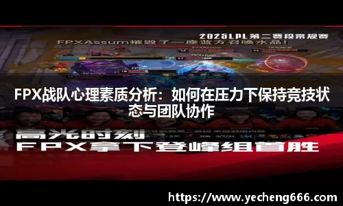 奇异果体育