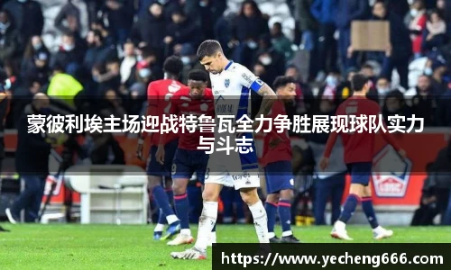 qyg奇异果体育