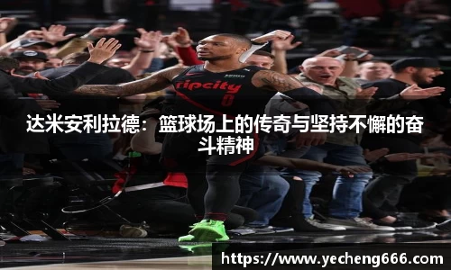 qyg奇异果体育