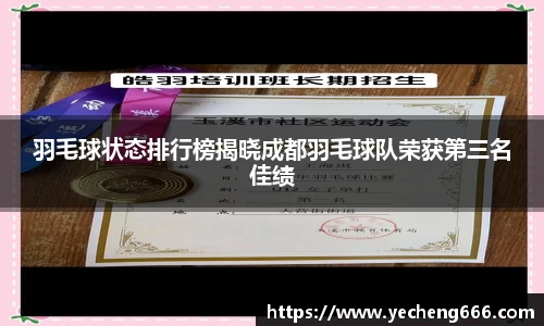 羽毛球状态排行榜揭晓成都羽毛球队荣获第三名佳绩