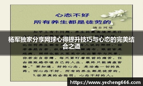 杨军独家分享网球心得提升技巧与心态的完美结合之道